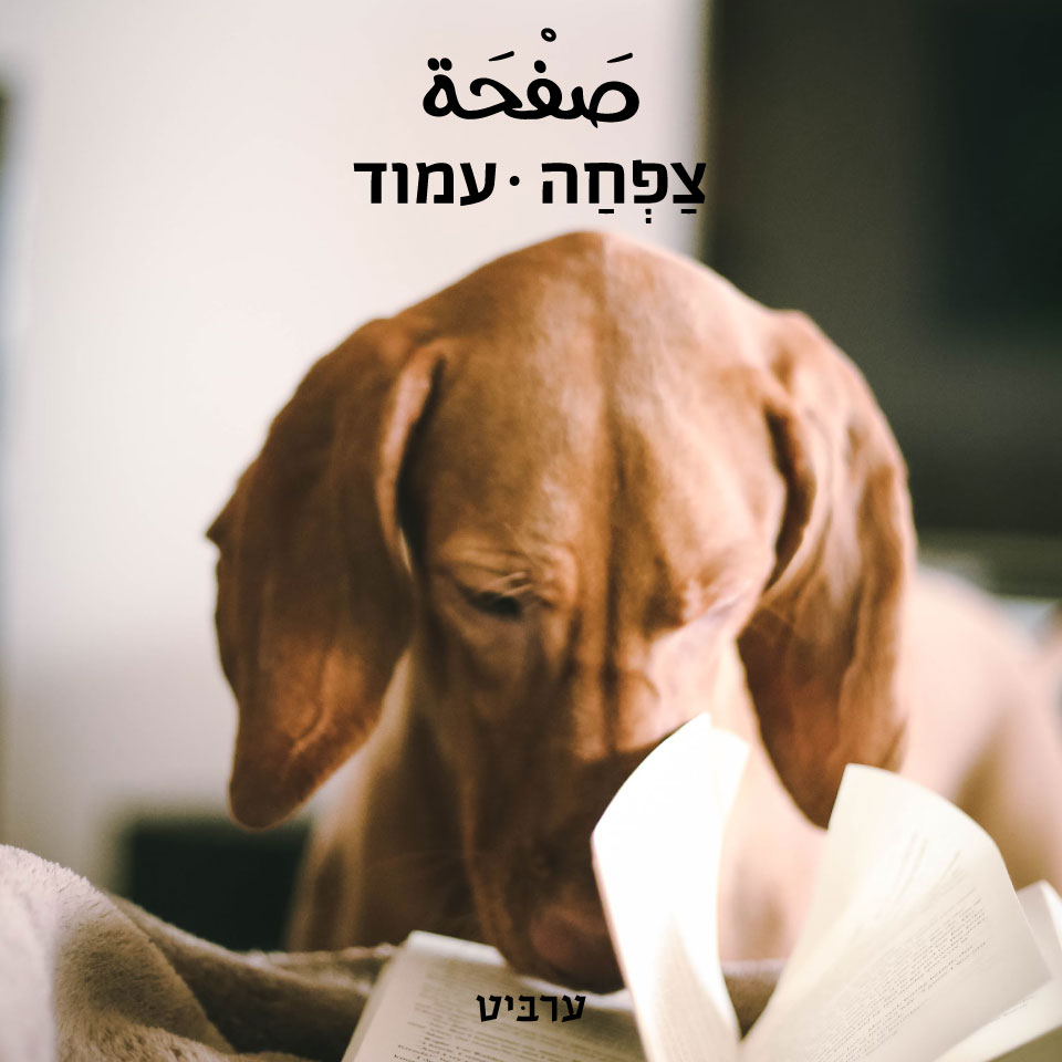 עמוד