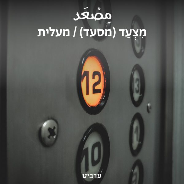 מעלית