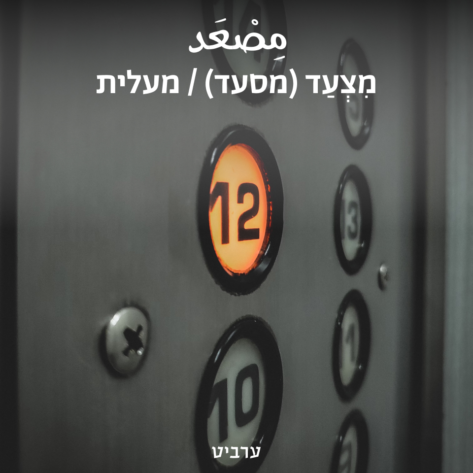 מעלית