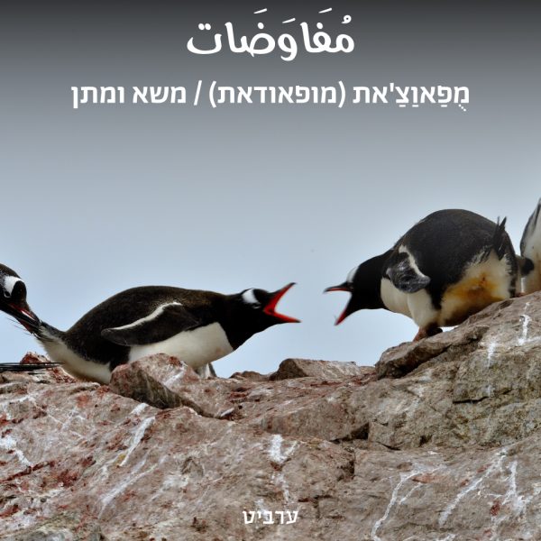 משא ומתן