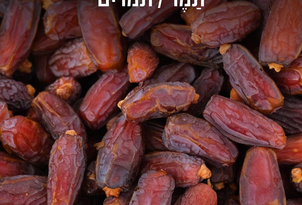 תמרים