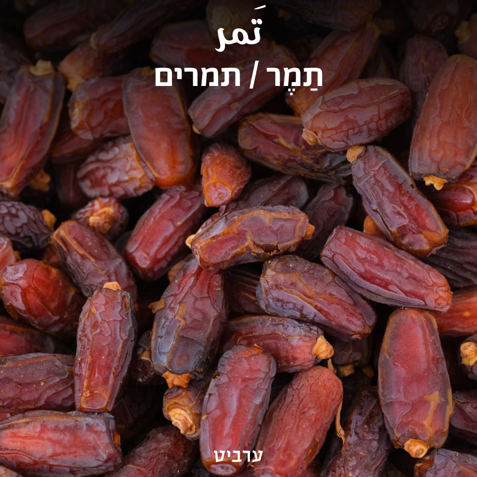 תמרים