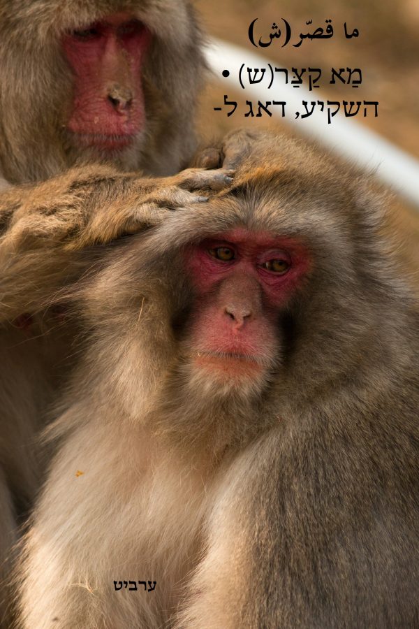 השקיע, דאג ל-