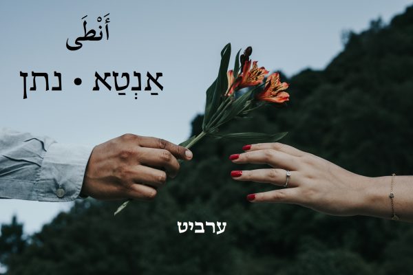 נתן
