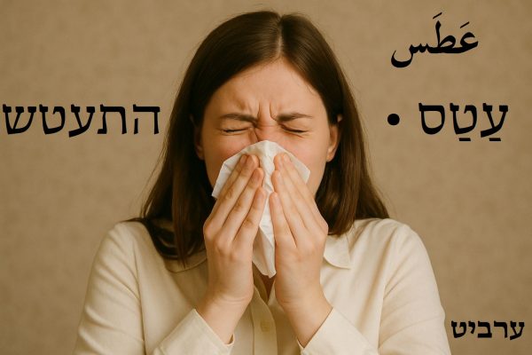 התעטש