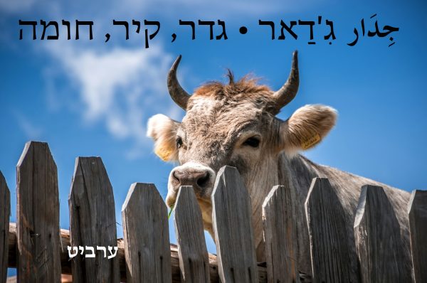 גדר, קיר, חומה