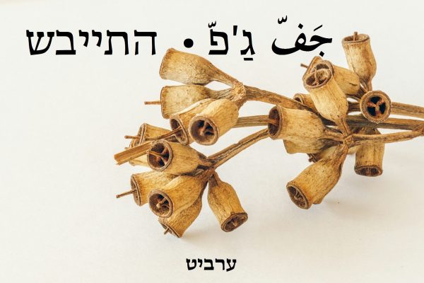 התייבש