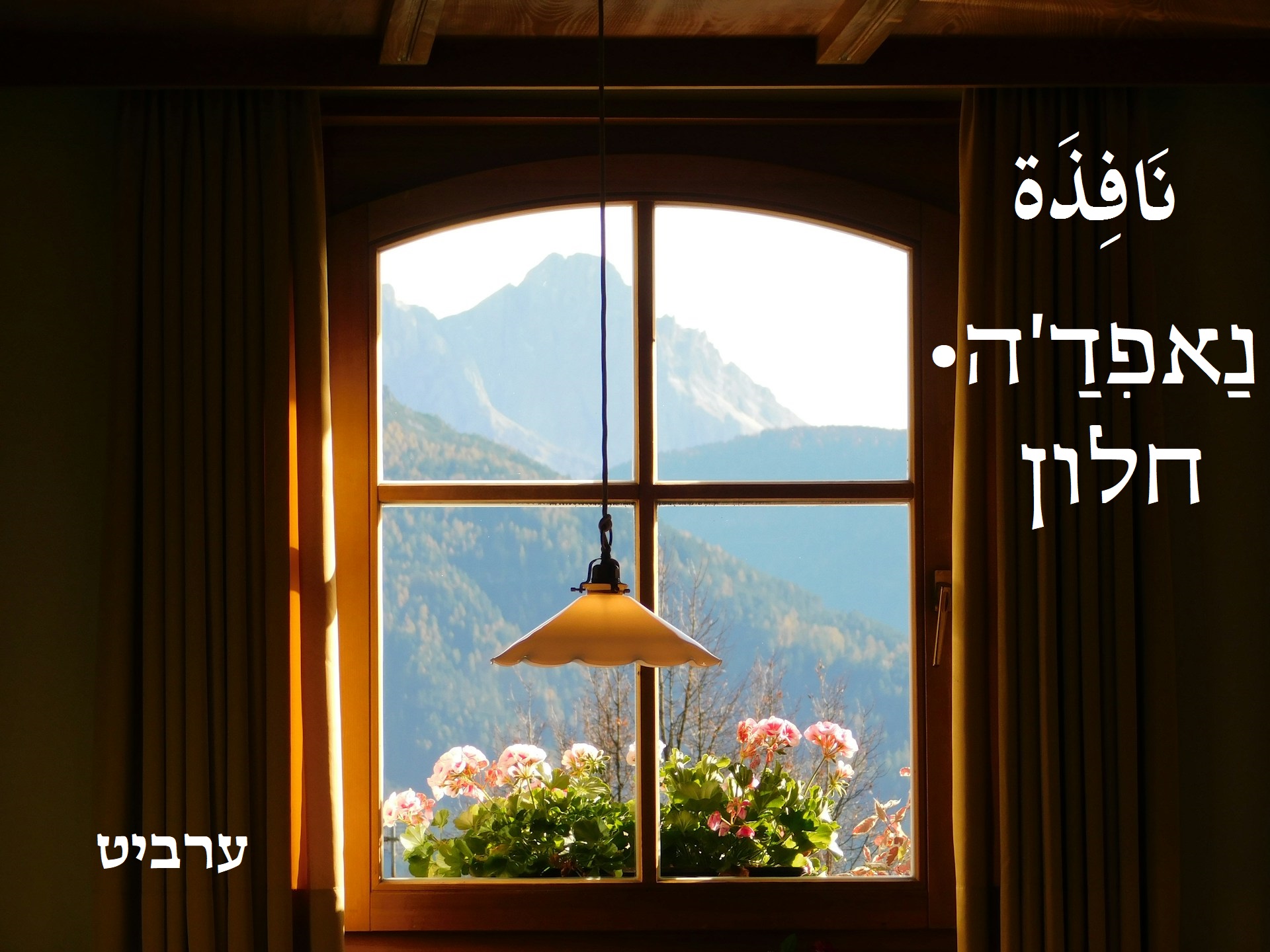 חלון