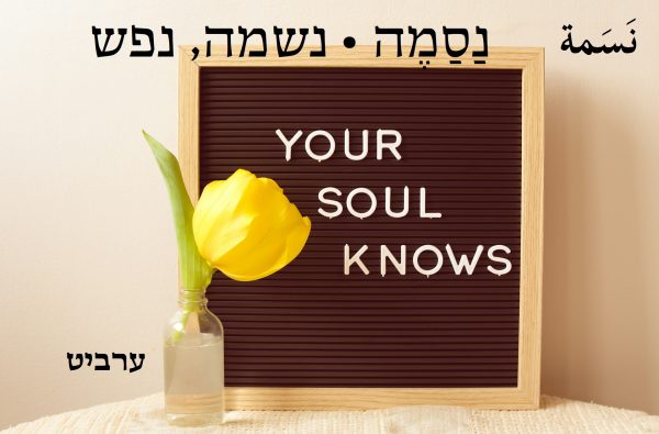 נשמה, נפש