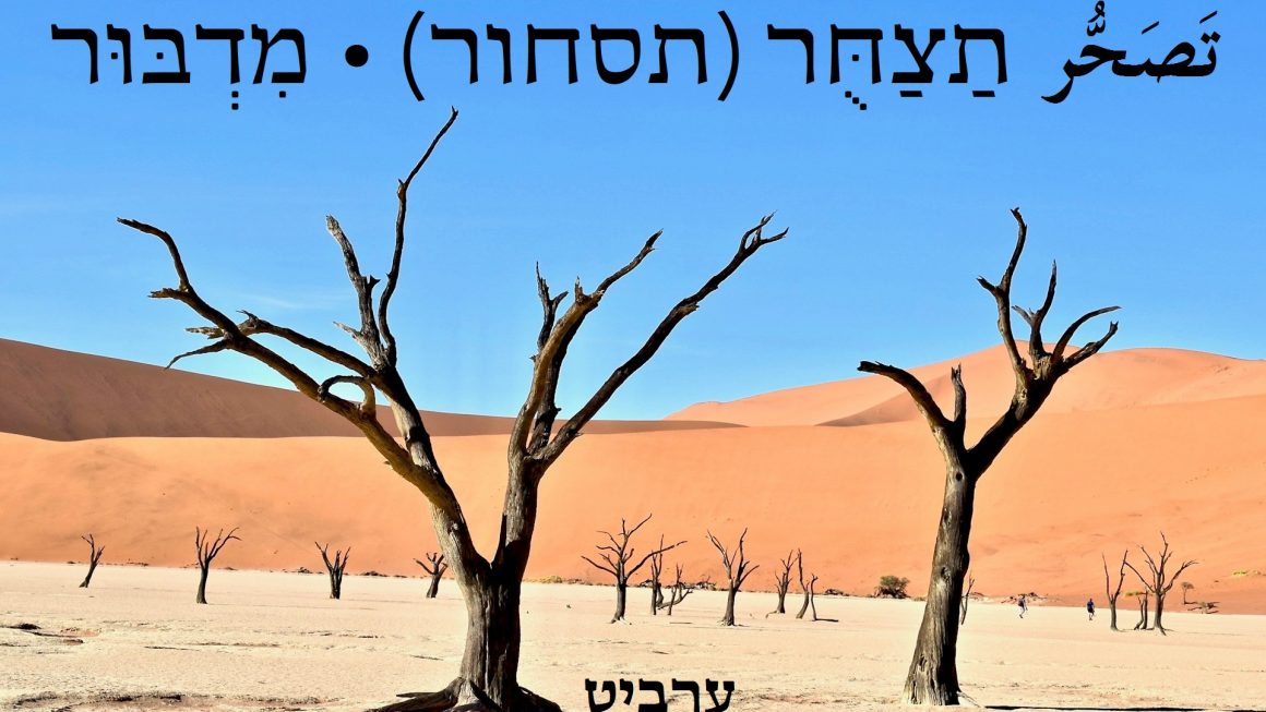מדבור