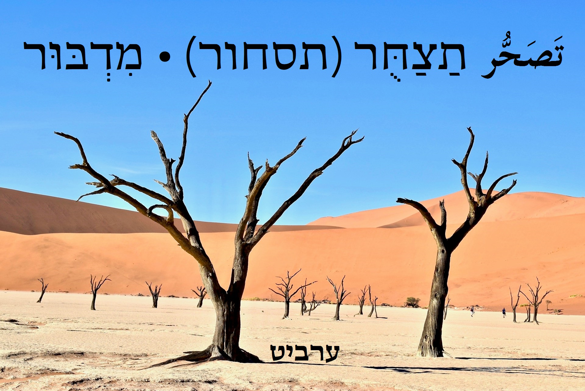 מדבור