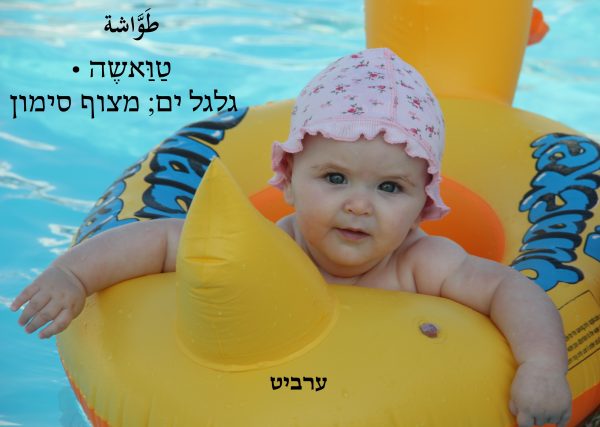 גלגל ים
