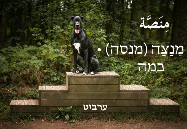 במה