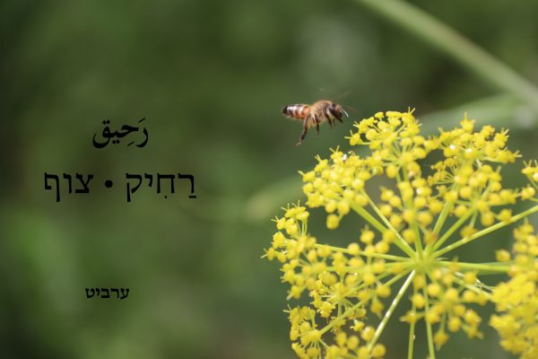 צוף