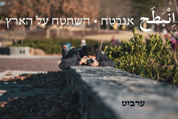 השתטח על הארץ