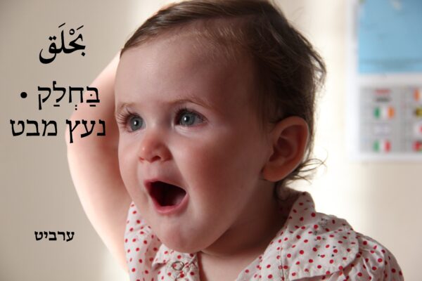 נעץ מבט
