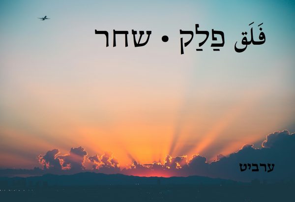 שחר