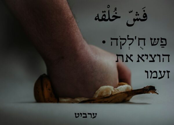 הוציא את זעמו