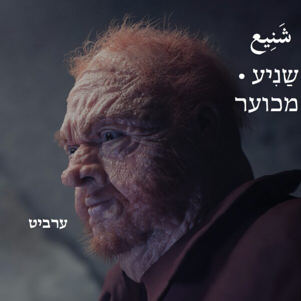 מכוער