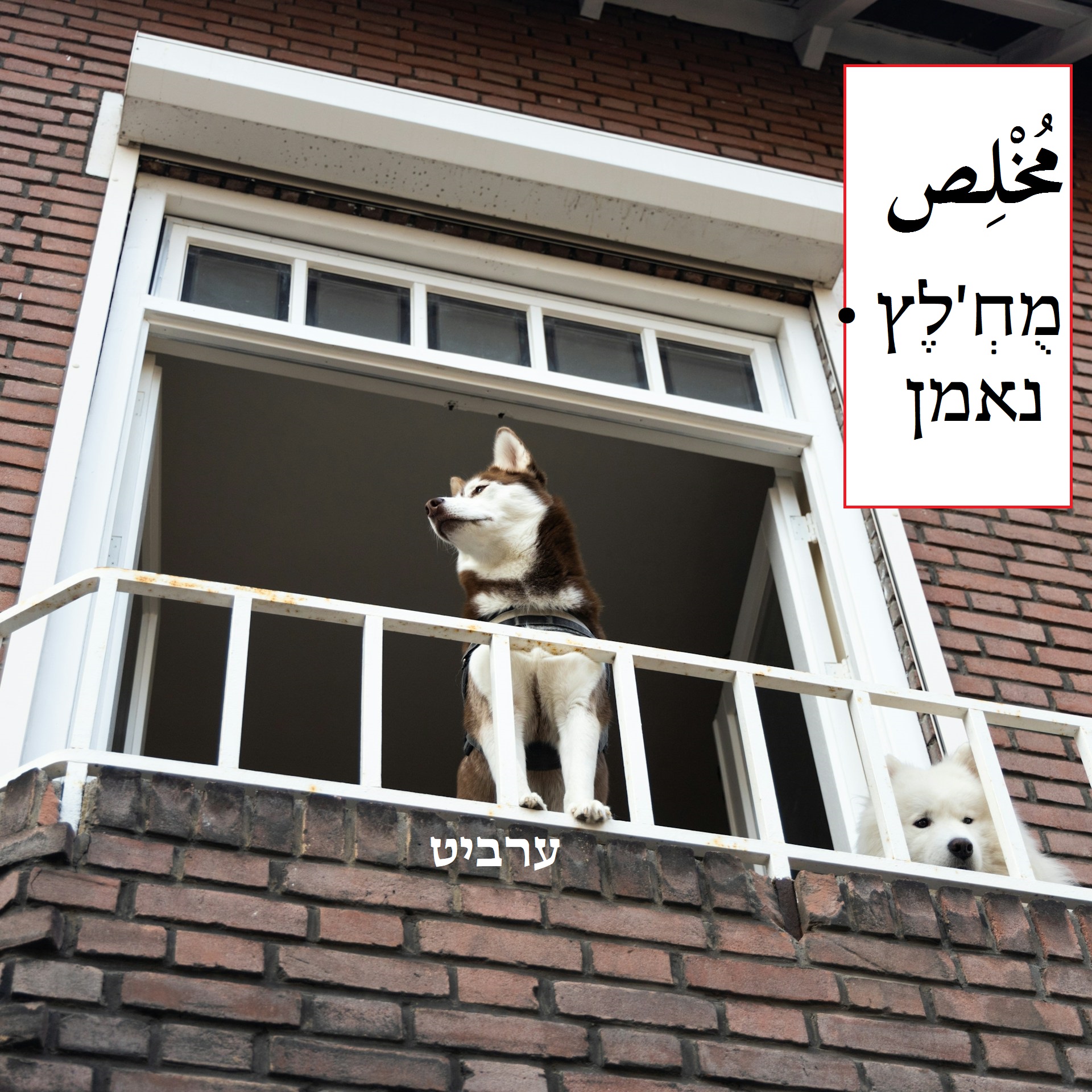 נאמן