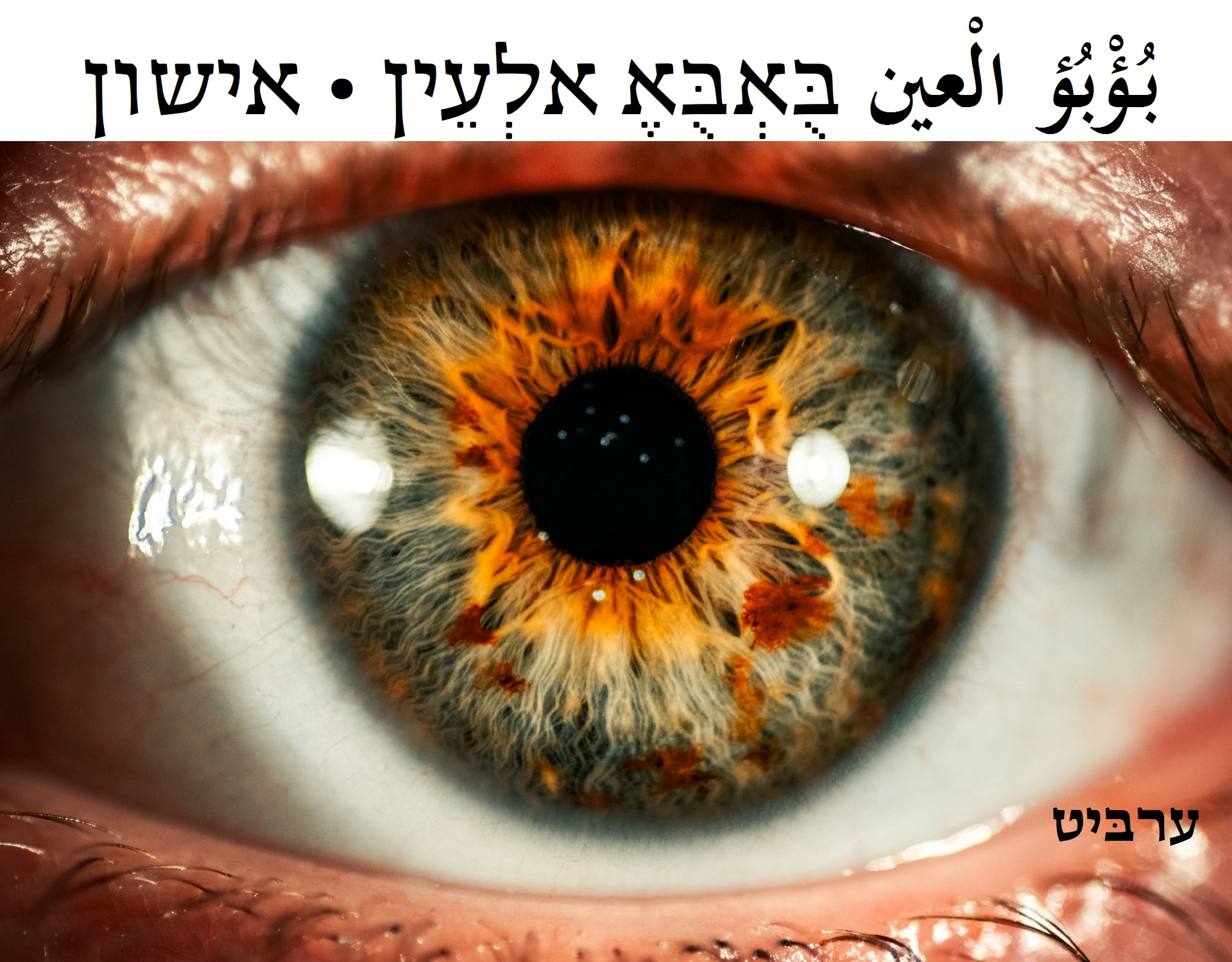 אישון