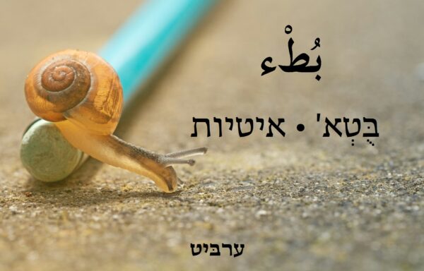 איטיות
