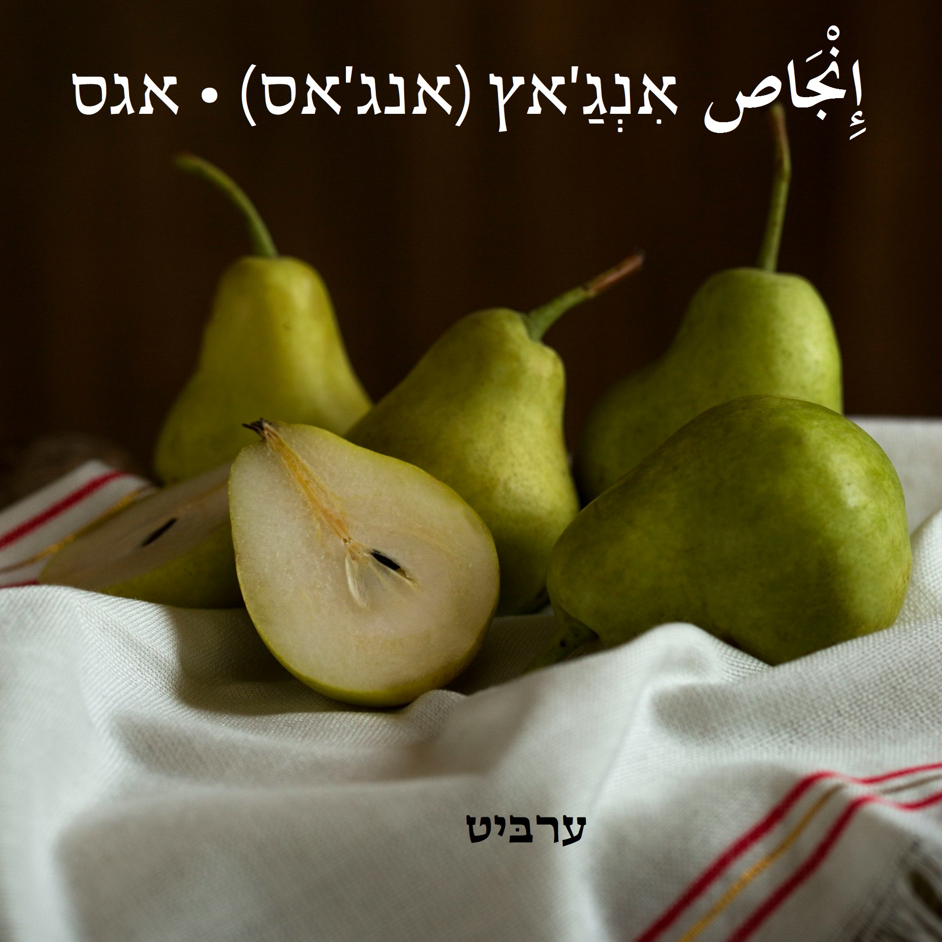 אגס