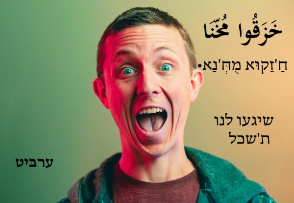 שיגעו לנו ת'שכל