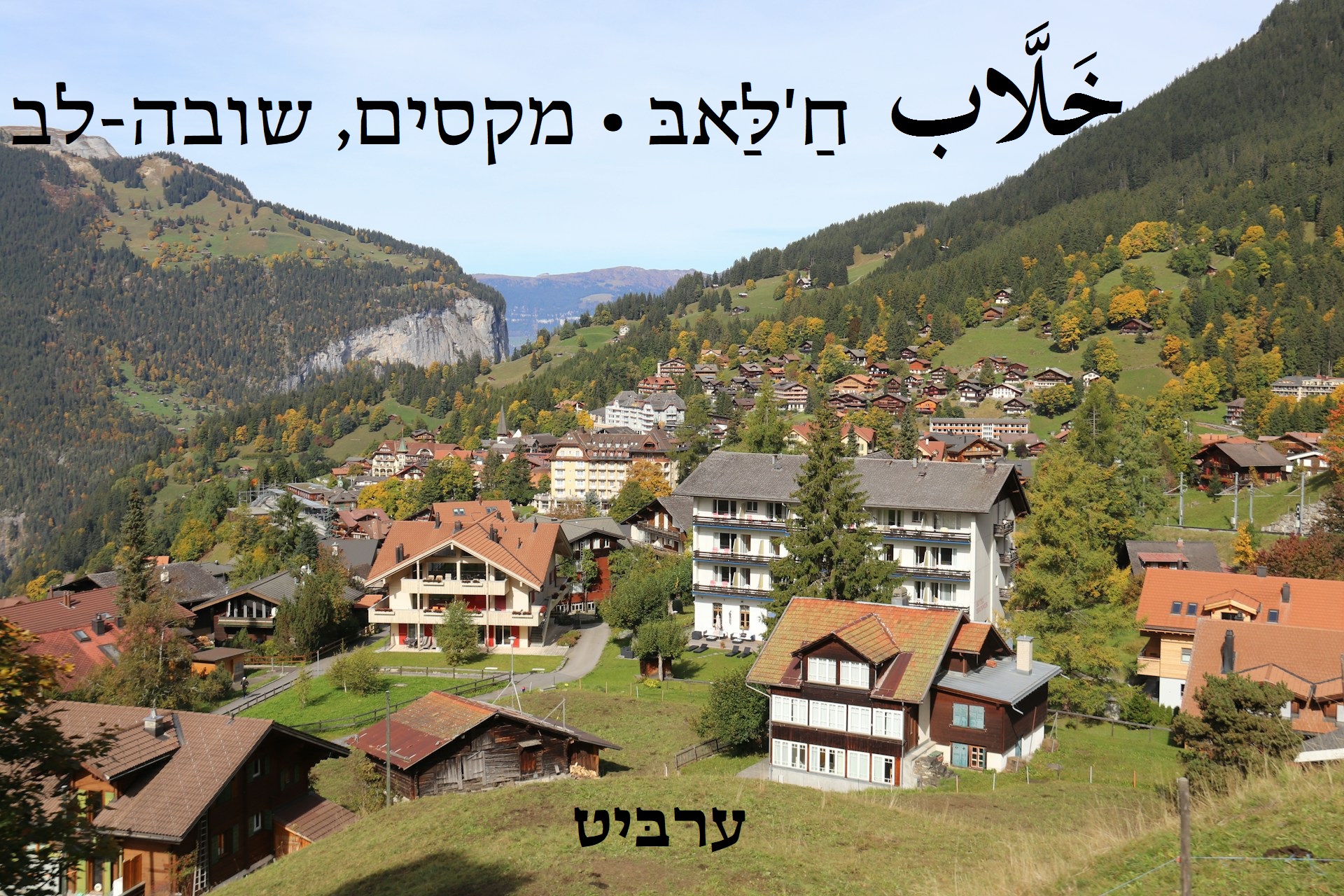 מקסים, שובה-לב