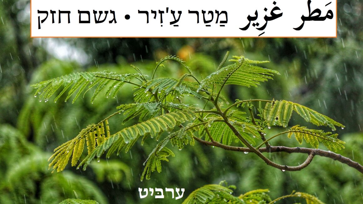 גשם חזק