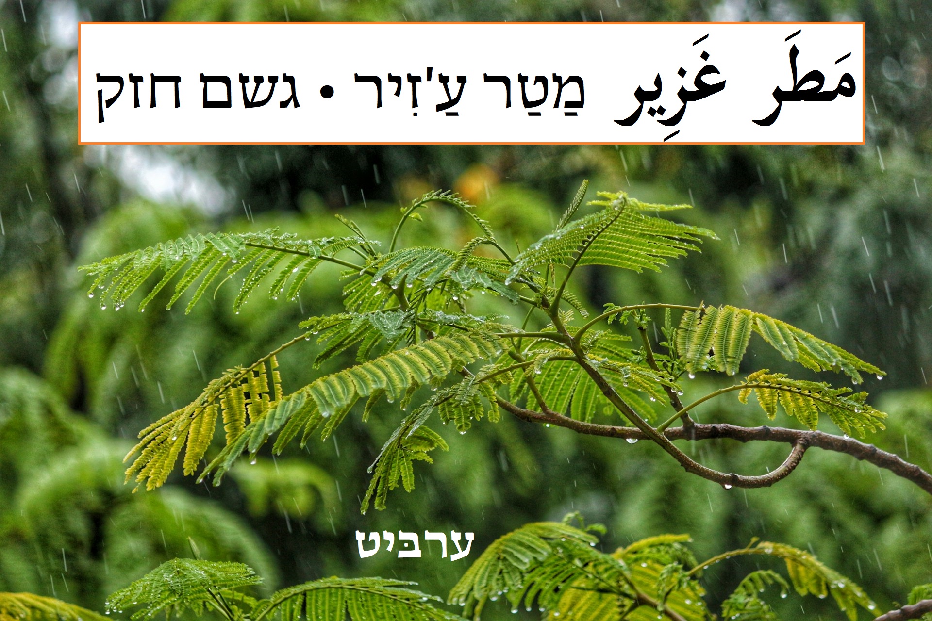 גשם חזק