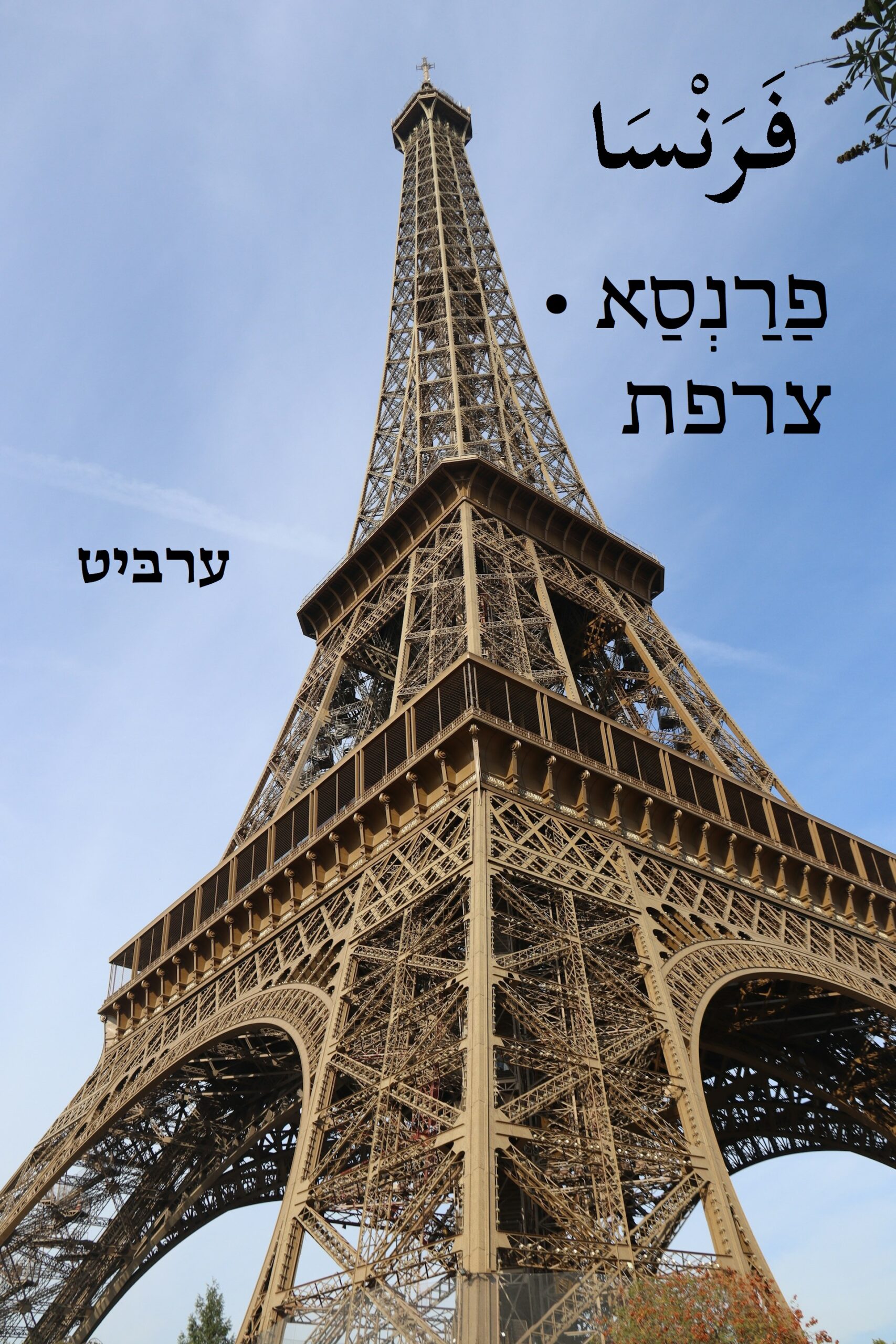 צרפת