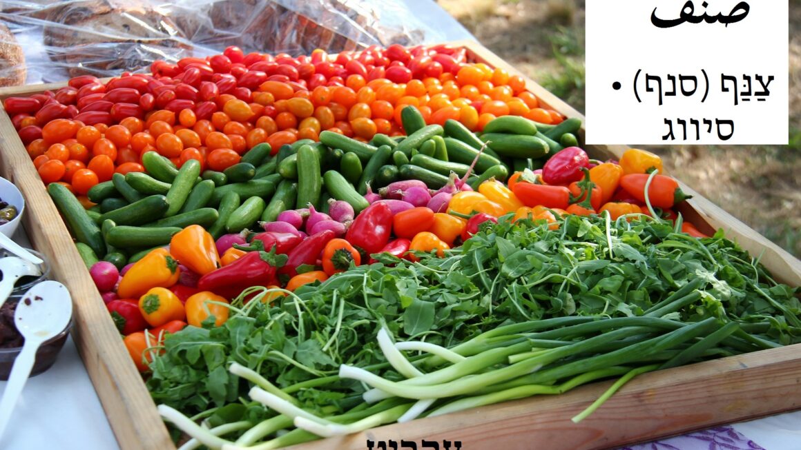 סיווג