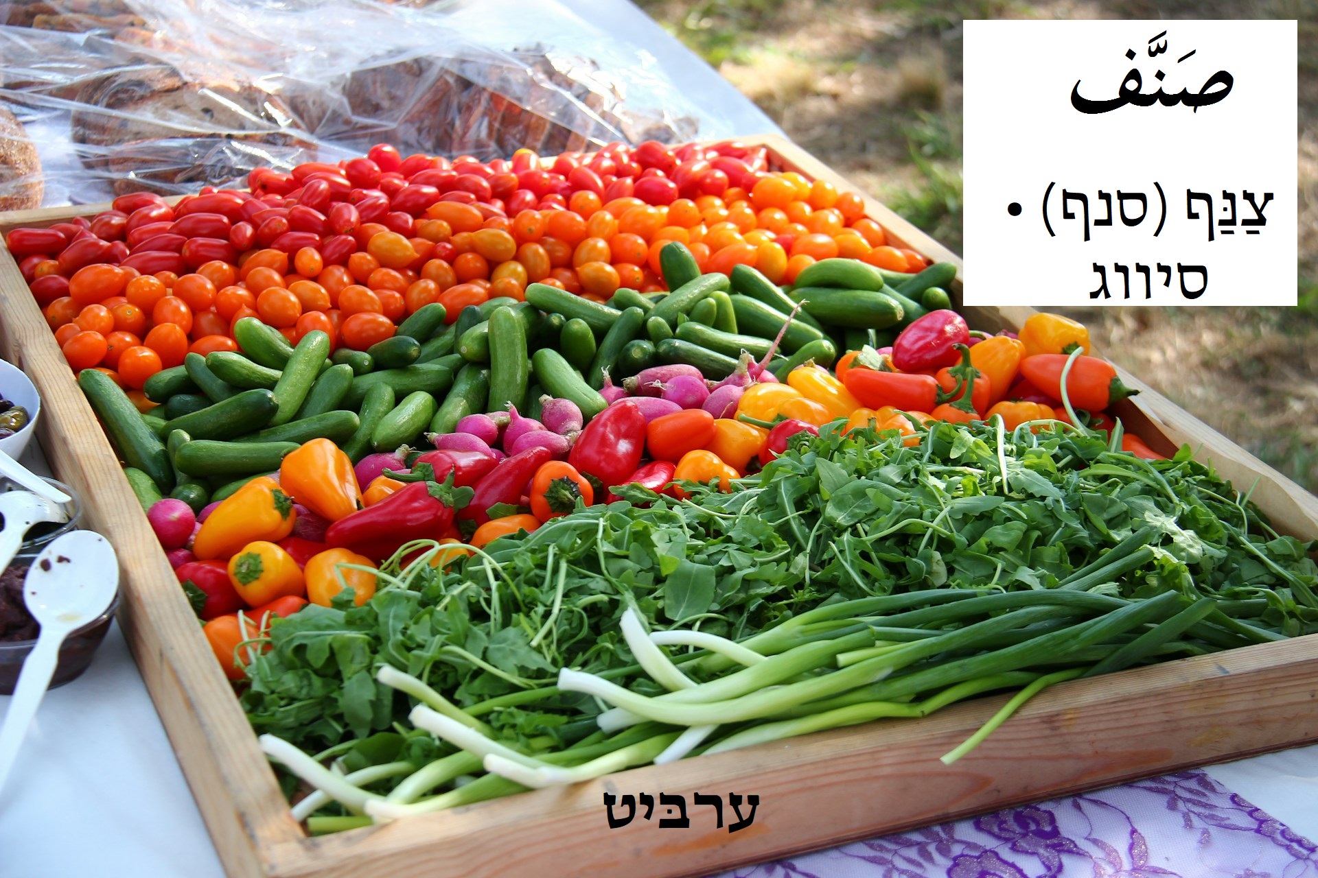 סיווג