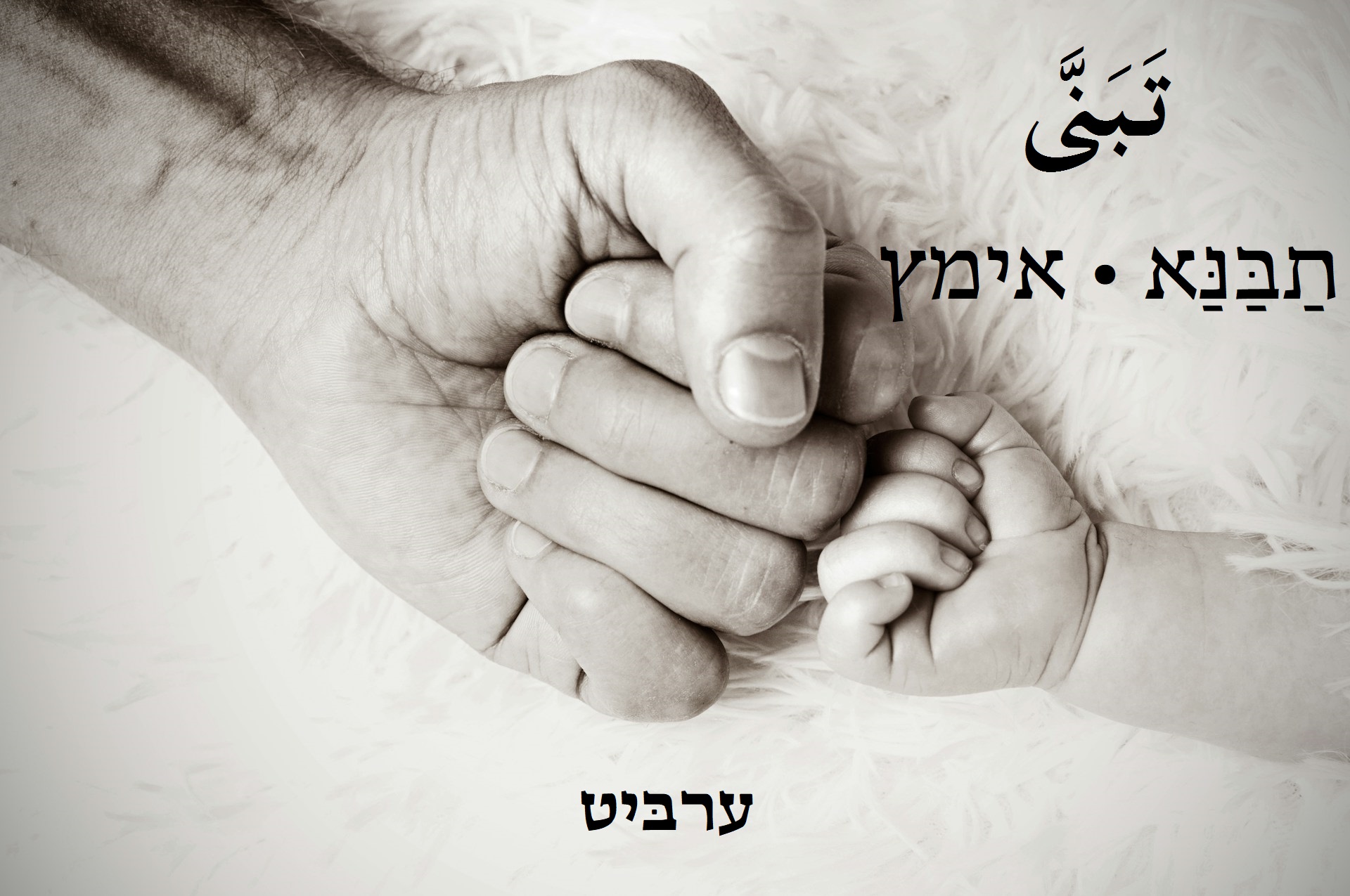 אימץ