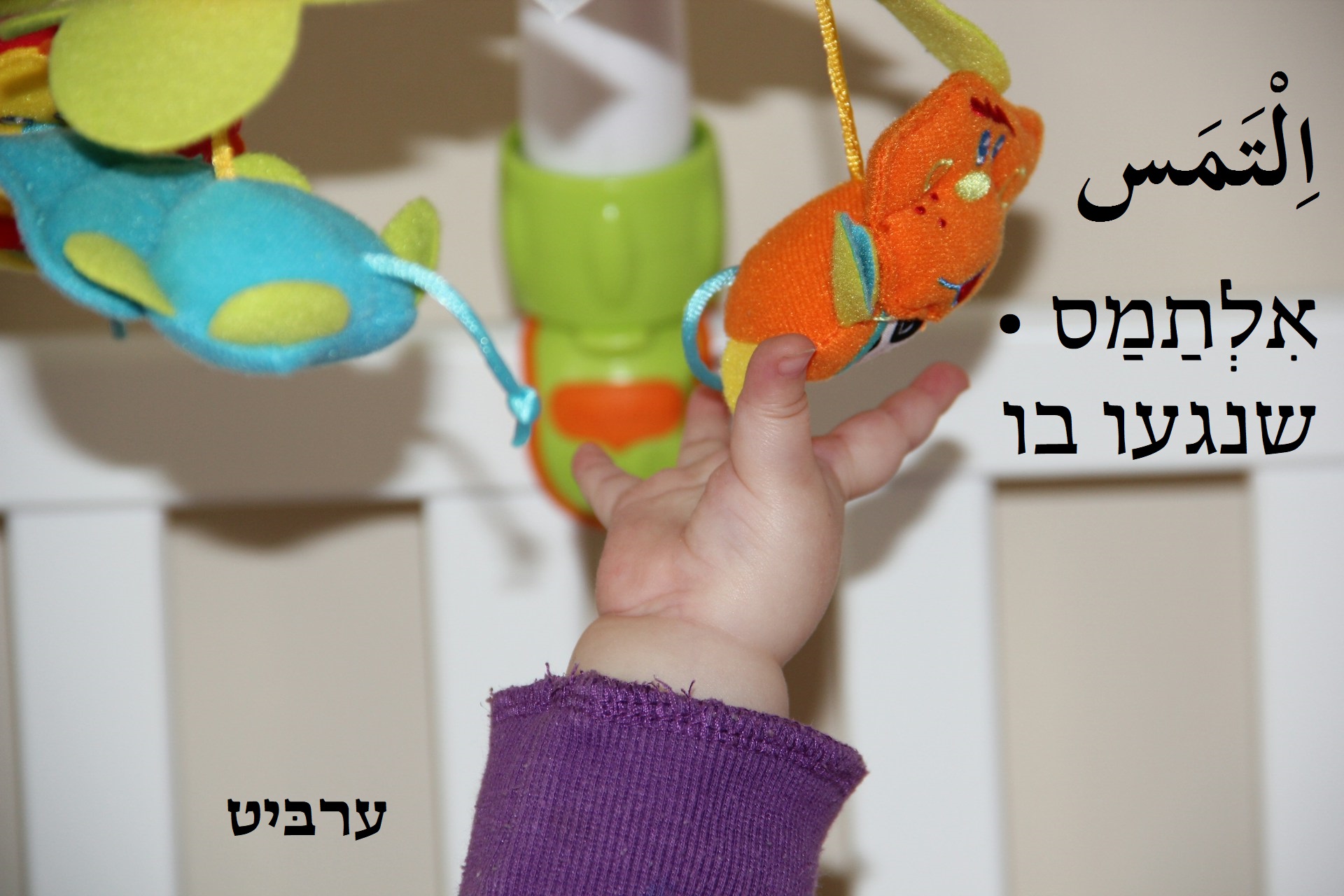 שנגעו בו