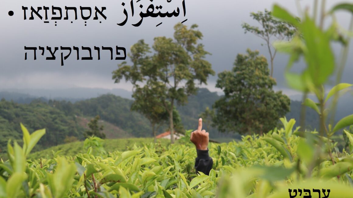 פרובוקציה