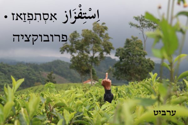 פרובוקציה