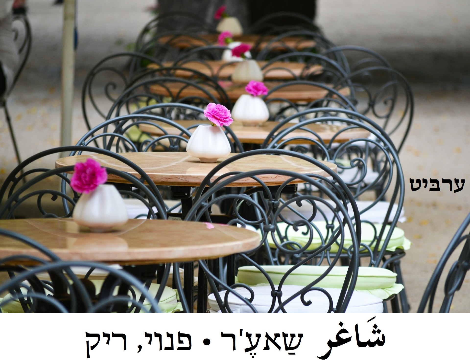 פנוי ריק
