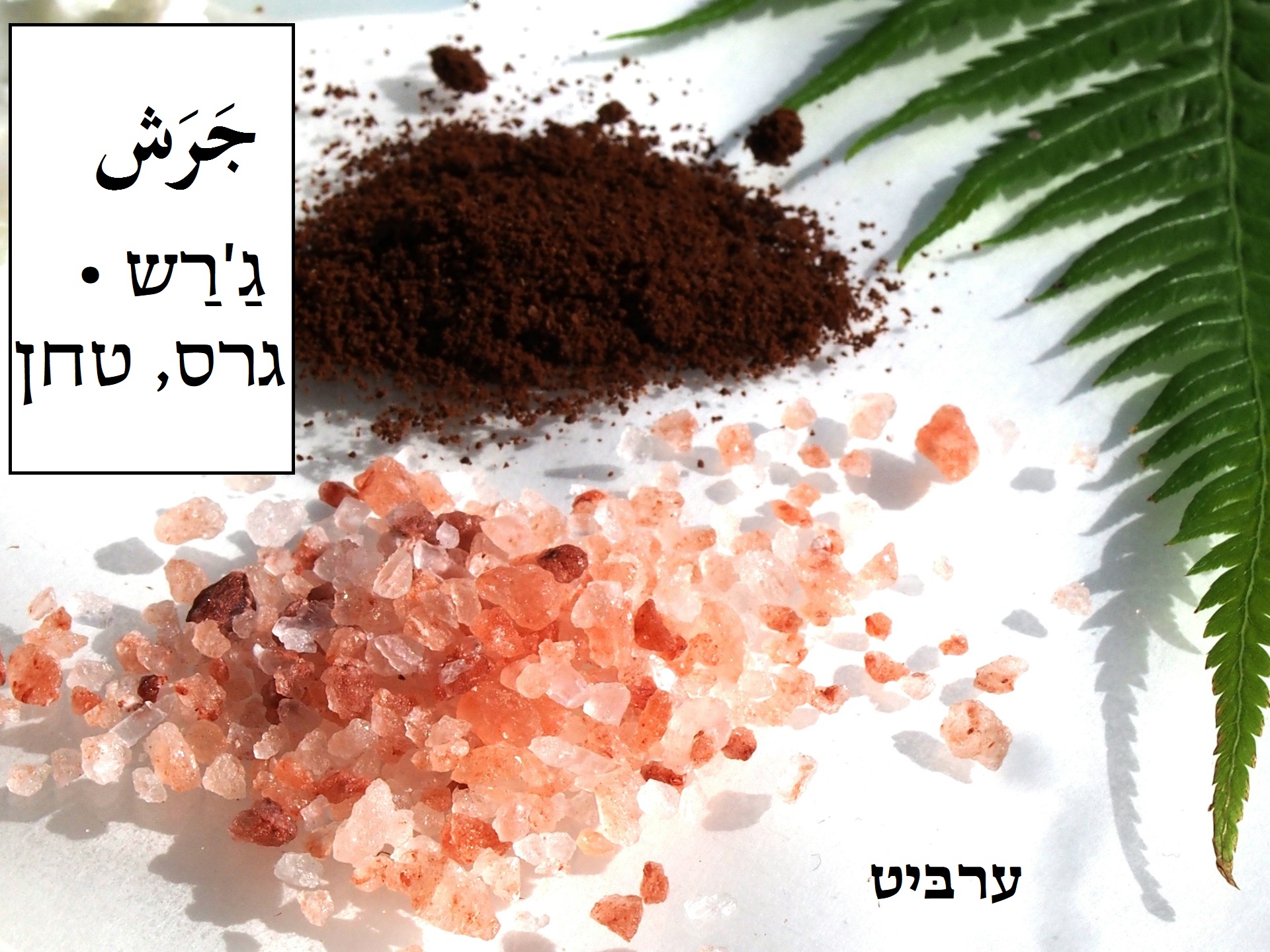 גרס, טחן