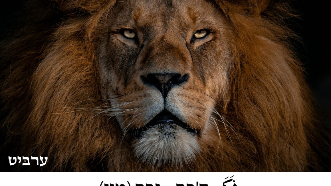 זכר