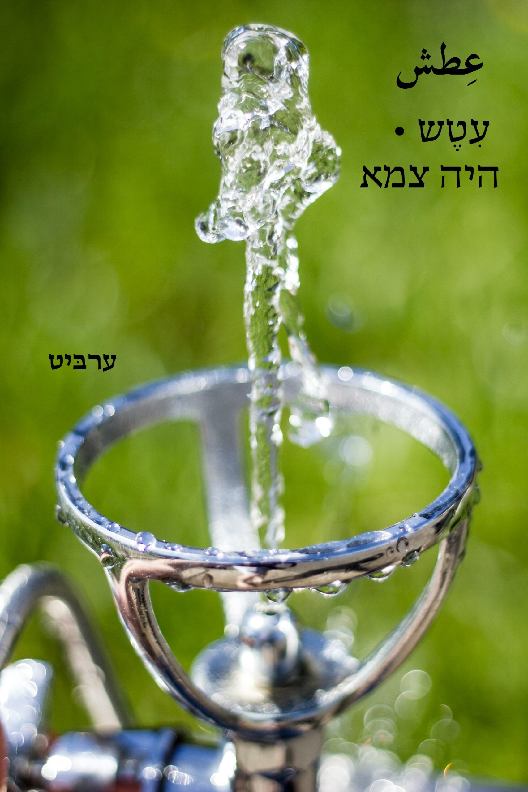 היה צמא