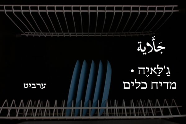 מדיח כלים