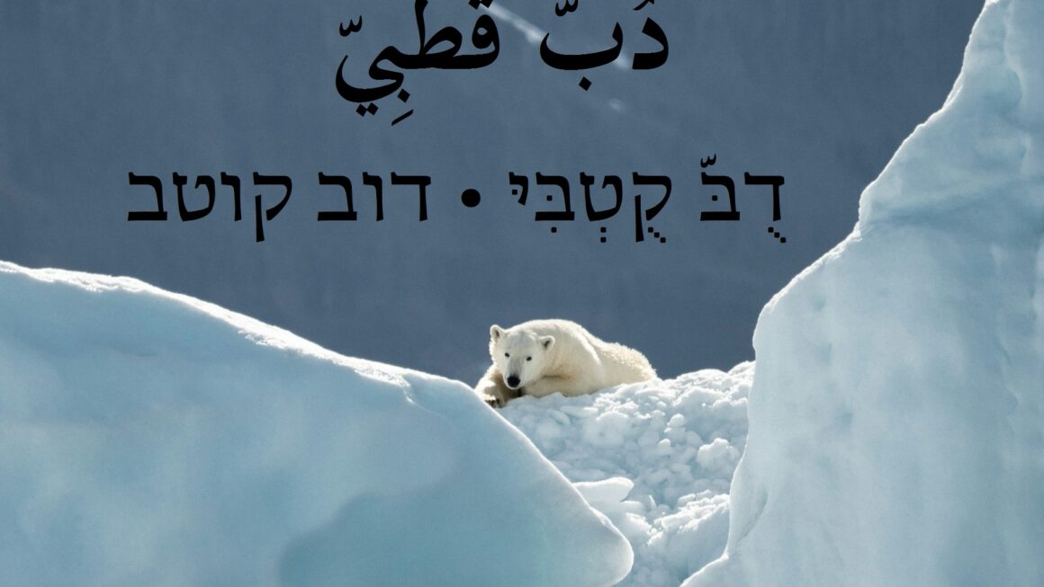 דוב קוטב