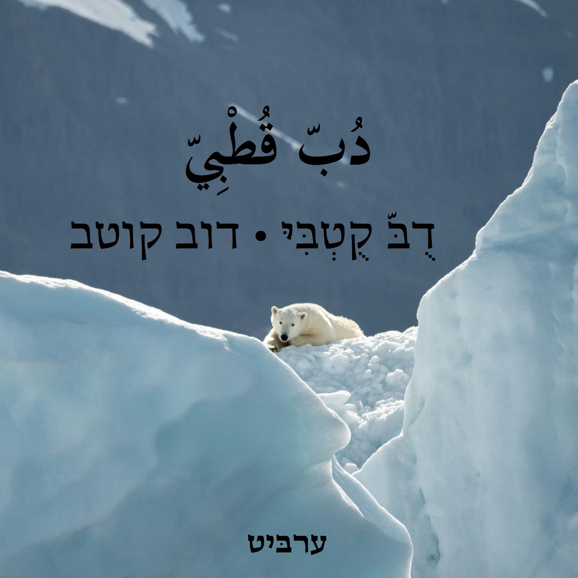 דוב קוטב
