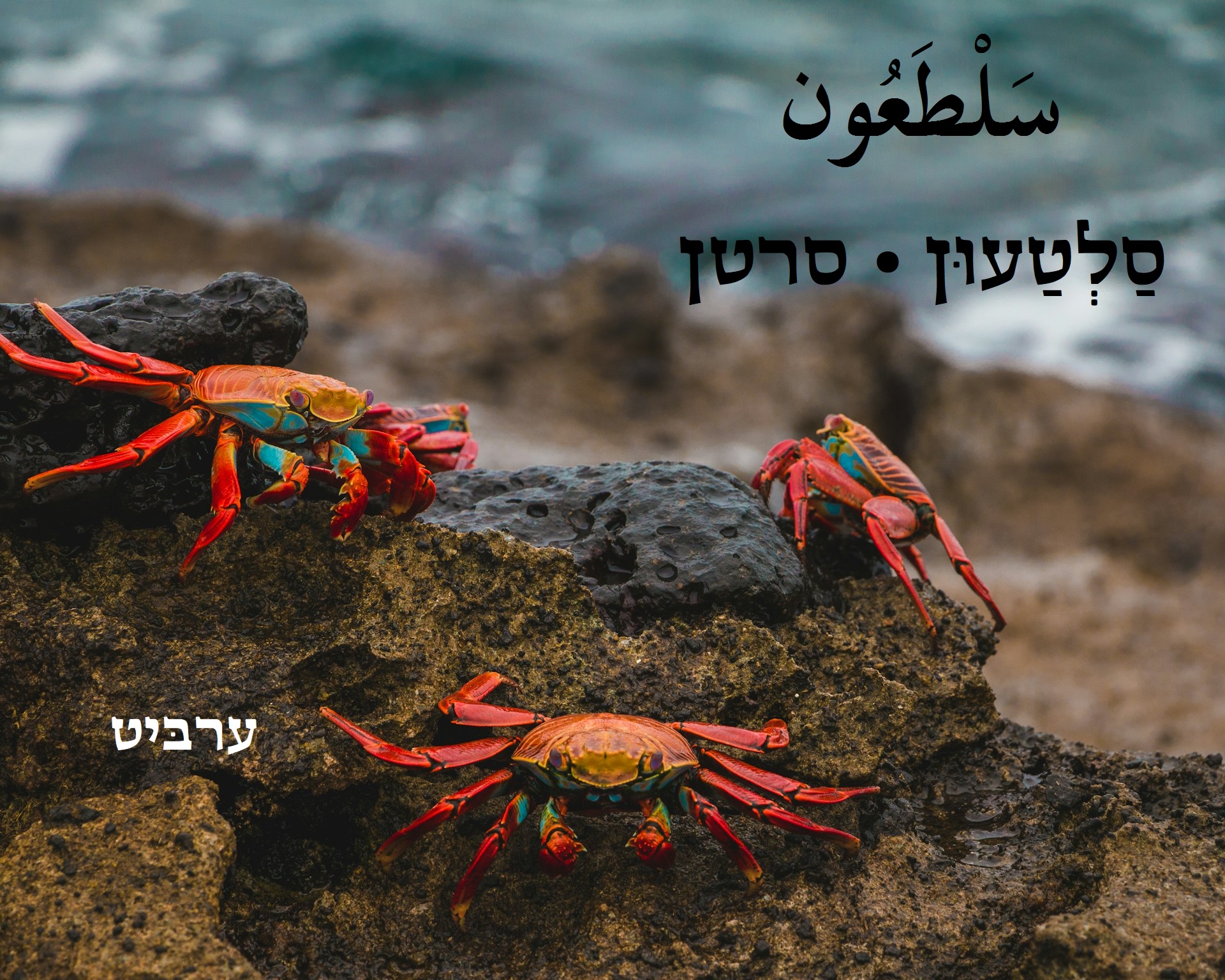 סרטן