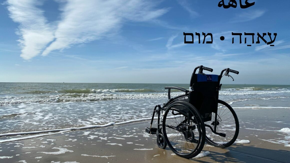 מום