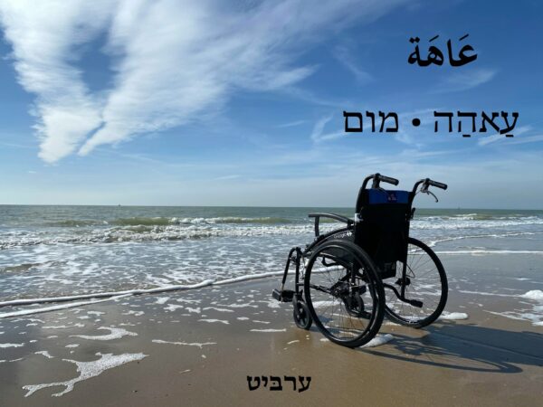 מום