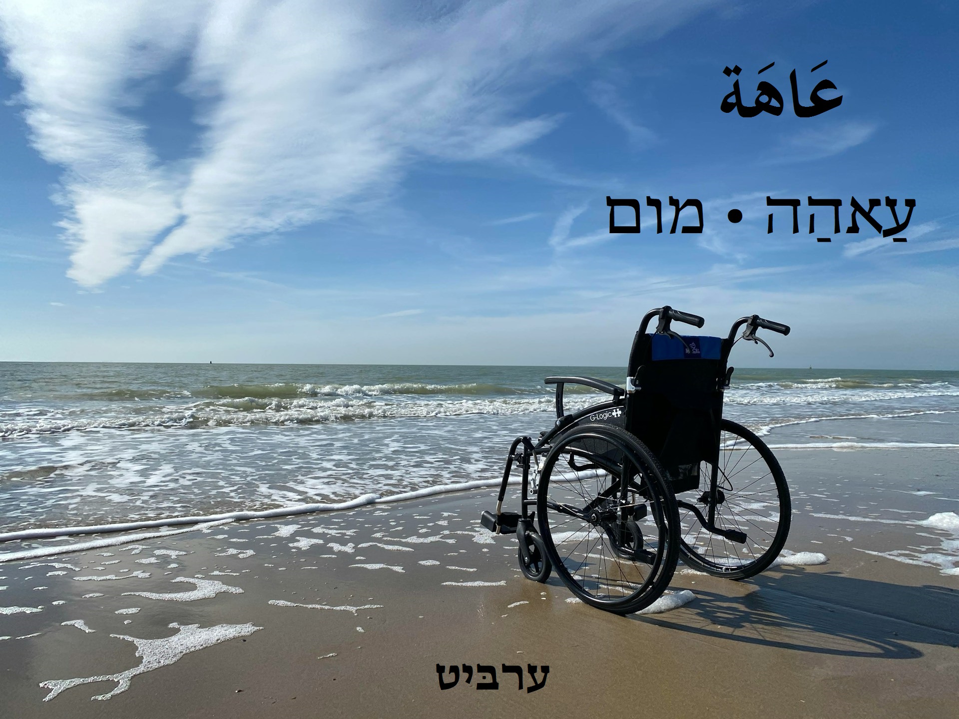 מום