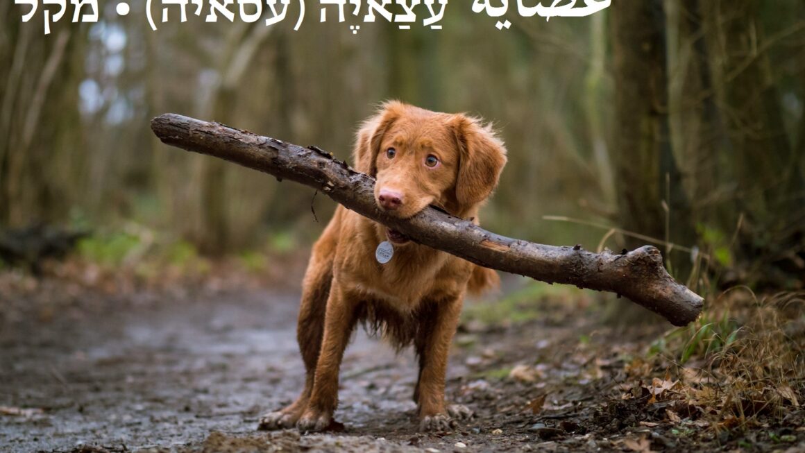 מקל